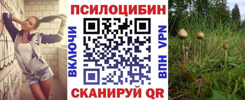 Псилоцибиновые грибы Psilocybe  Камешково 
